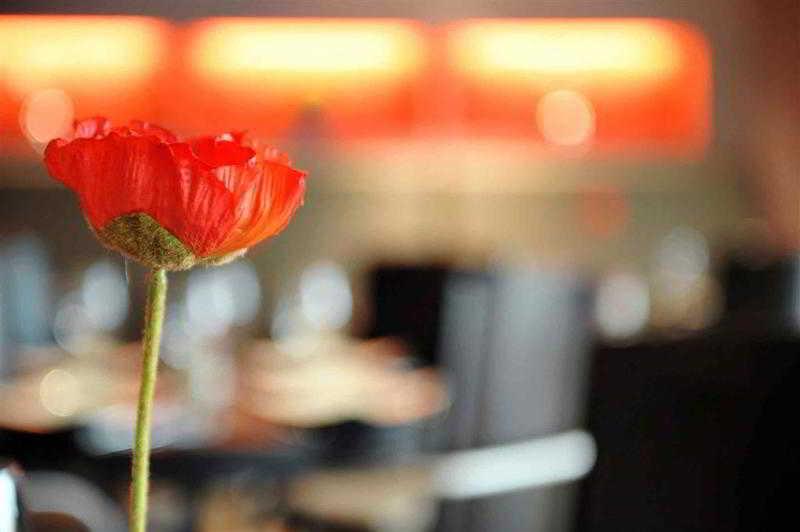 Mercure Hotel Brussels Airport Diegem Eksteriør billede